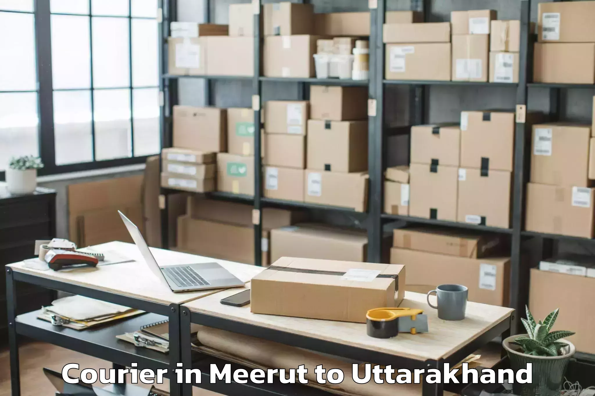 Book Meerut to Jonk Courier